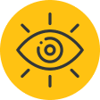 icon vision